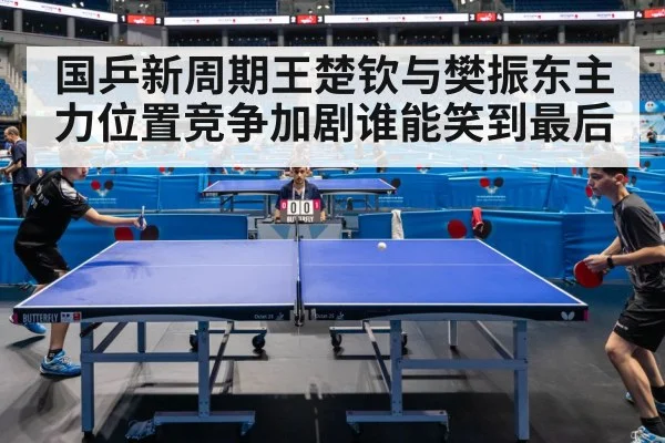 国乒新周期王楚钦与樊振东主力位置竞争加剧谁能笑到最后