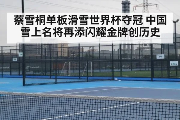 蔡雪桐单板滑雪世界杯夺冠 中国雪上名将再添闪耀金牌创历史